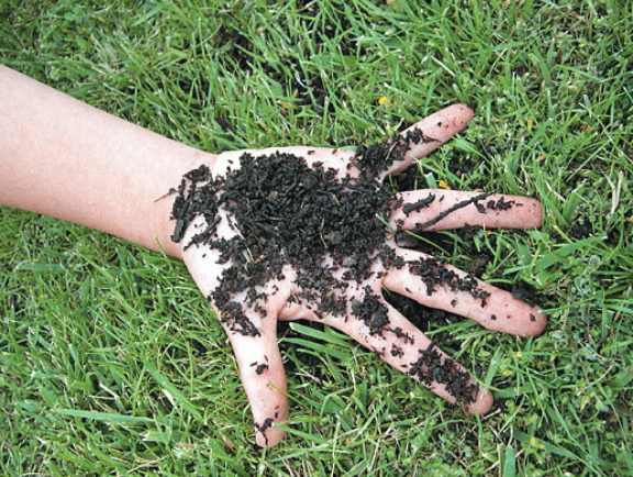 compost